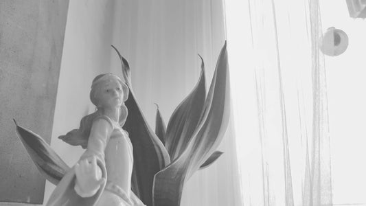 Ástæða nr. 58.000